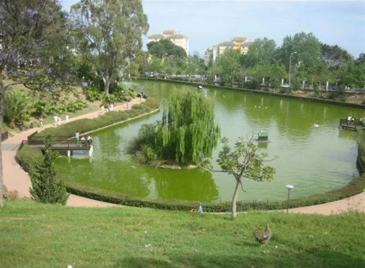 Estudio Sagitario Benalmádena